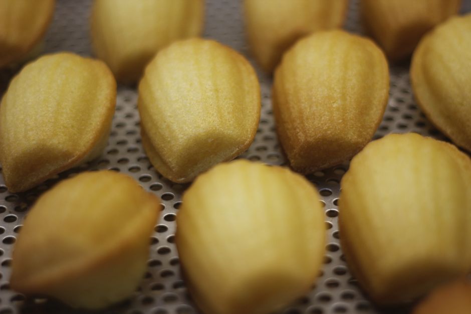 Classic French Butter Madeleines